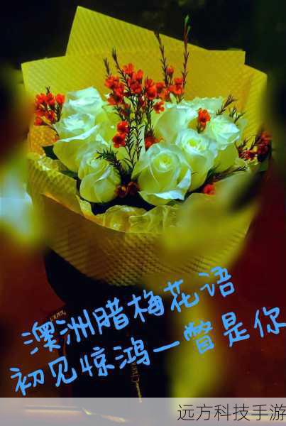 节目中的成员们也是其成功的关键因素之一,他们各具特色,性格鲜明,通过默契的配合和精彩的互动,为节目增添了许多亮点,观众们不仅喜欢看他们完成各种挑战,更享受他们之间的友情和幽默。