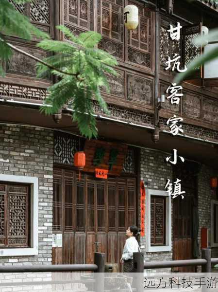 张博的故事,从小镇的一隅开始,在那个信息相对闭塞的地方,他凭借对知识的渴望和超乎常人的学习能力,迅速脱颖而出,每当夜幕降临,小镇的灯光逐渐熄灭,张博的房间却总是灯火通明,他沉浸在书海与题海之中,享受着解谜般的乐趣,从奥数竞赛的金牌得主,到全国科学竞赛的佼佼者,张博的每一步都走得坚实而有力。