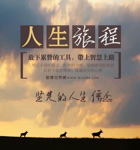 这个问题并没有绝对的答案,因为两款手机各有优势,适合不同需求的用户,如果你注重外观设计、拍照性能和扩展性,且对Android系统情有独钟,那么索尼S36h可能是一个不错的选择,而如果你更看重性能配置、屏幕显示和无线连接技术,且对iOS系统有偏好,那么iPhone5则更适合你,最终的选择还需根据个人喜好、预算和使用需求来决定。