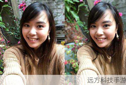 综合对比:哪款更适合你?