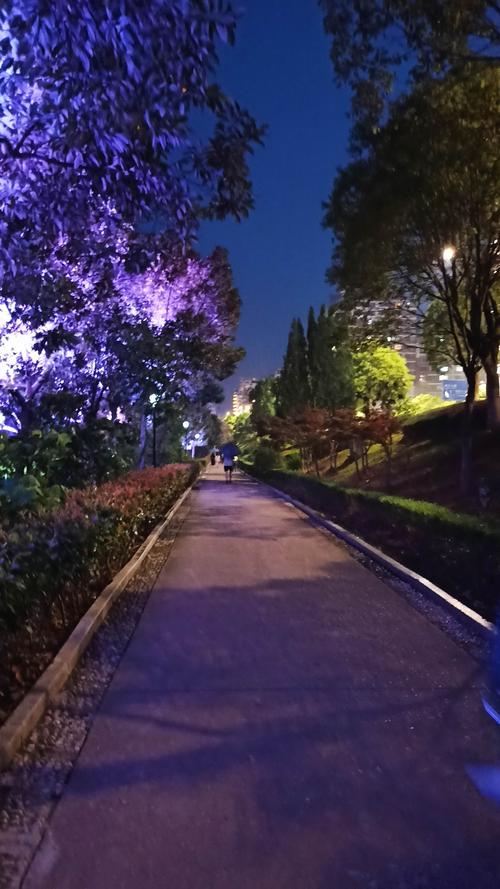 问:这些手机中哪一款的夜景拍摄能力最强?