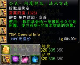 推荐类型:提供高魔法抗性的护甲或戒指。