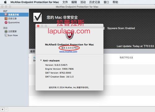 通过以上步骤,您不仅能够成功下载、安装和升级McAfee服务器杀毒软件,还能够了解如何利用其功能进行日常维护,为服务器构建一个坚实的安全防线。