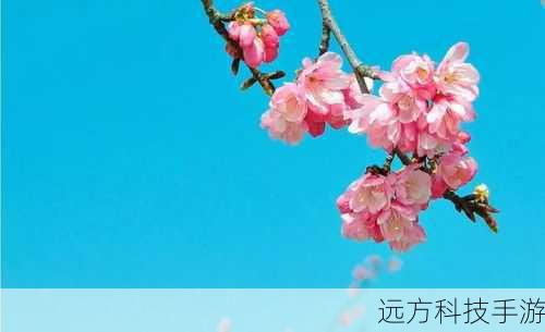 答案:春季可以选择温暖柔和的颜色,如粉色、浅绿色,营造生机勃勃的氛围;夏季则适合使用明亮、清新的颜色,如蓝色、柠檬黄,给人以清凉之感;秋季则可以选择金色、棕色等温暖色调,营造丰收的氛围;冬季则适合使用深色系,如黑色、深蓝,给人一种稳重、宁静的感觉,通过季节变换,调整色彩搭配,可以使设计作品更加贴近时令,吸引不同时间段的观众。