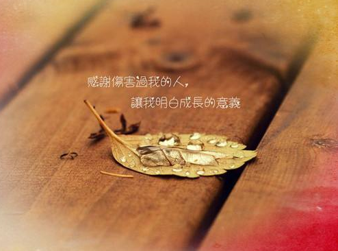 在《加油!咘隆家族》中,我们可以看到很多积极向上的价值观,勇敢面对困难、坚持不懈、团队合作、善良友爱等等,这些价值观对于小朋友的成长和发展非常重要,能够帮助他们树立正确的人生观和价值观。