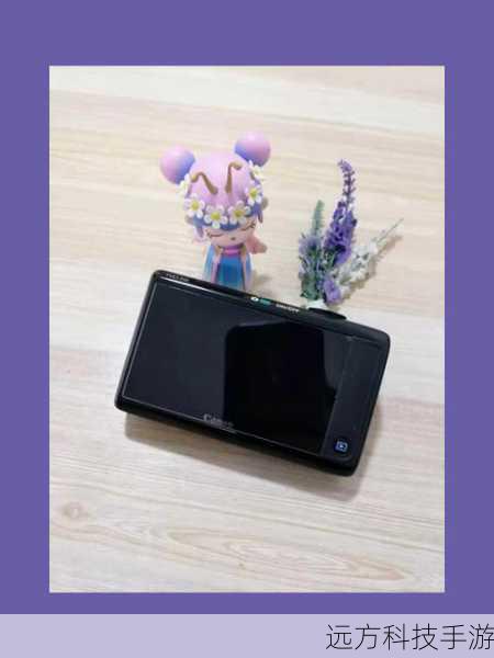 Q:佳能IXUS1100 HS适合哪些人群使用?