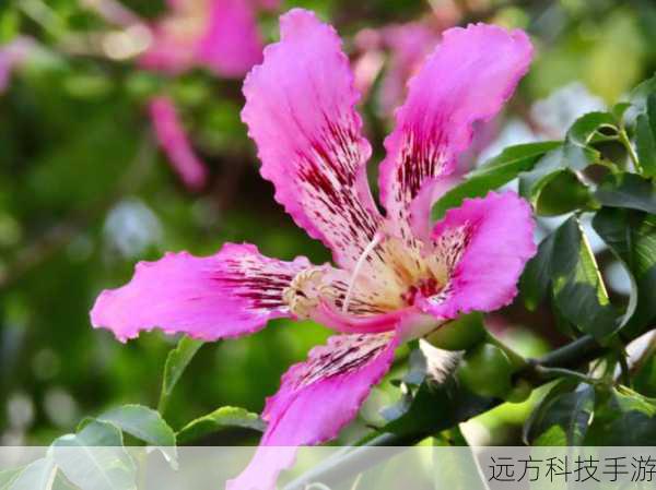 A:佳能IXUS1100 HS搭载了IS光学防抖系统,这一系统能够有效抑制拍摄时的抖动,保证画面的清晰稳定,无论是手持拍摄还是在低光照环境下拍摄,都能获得令人满意的防抖效果。