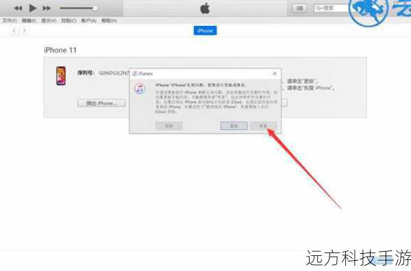    - 选择“恢复”选项，等待iTunes完成操作。