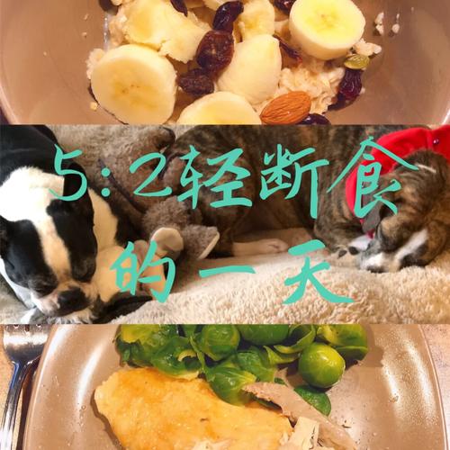 - 自动识别动物饥饿状态,并及时提供食物,减少玩家的日常管理负担。