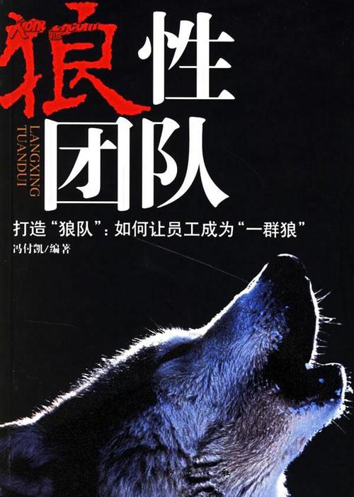 团队协作:与队友沟通,利用狼人的群体控制技能为团队创造有利的作战环境。