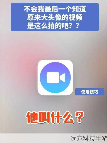 使用技巧