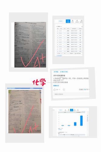 - 教育培训:自动批改作业、试卷,提供个性化教学反馈。