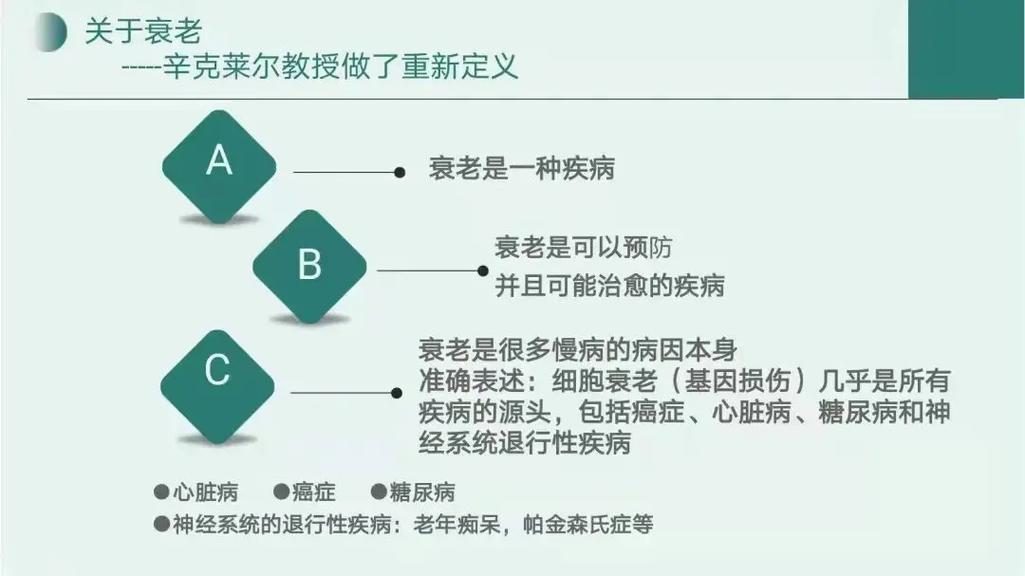 A:在保证生存的同时提高输出效率的关键在于合理搭配装备和技能,选择带有生命恢复或护盾效果的装备,同时加满“火焰护盾”技能,可以大幅提升生存能力,在技能加点上,优先加满“烈焰斩”和“火焰爆裂”,并结合“火舞”和“烈焰风暴”的使用,形成高效的连招策略,既能保证输出,又能有效控制战场局势。