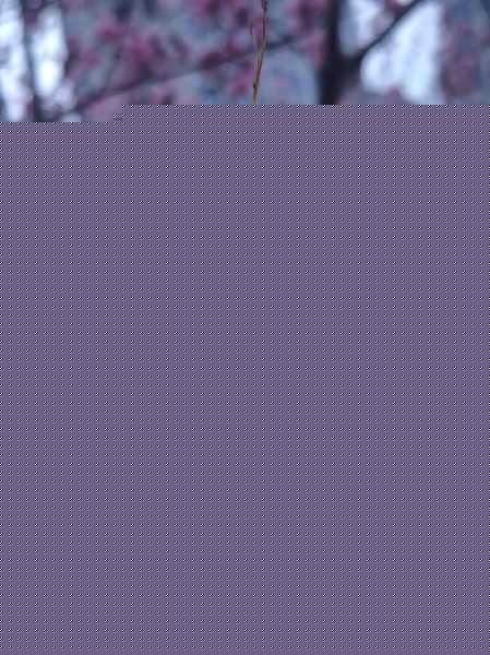 步入发布会现场,首先映入眼帘的是布拉格S那流畅而统一的机身线条,仿佛一件精心雕琢的艺术品,静静地诉说着对简约美学的极致追求,不同于市面上常见的“三段式”设计(即屏幕、中框、后盖三段分明),布拉格S采用了全新的无断点一体化设计,通过精湛的工艺处理,实现了边框与前后盖的无缝衔接,不仅视觉上更加和谐统一,更带来了前所未有的握持手感,这种设计上的革新,无疑是对传统美学的一次勇敢挑战,也是对用户体验的深刻洞察。