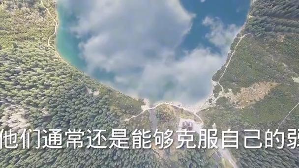 针对特定类型的敌人,应优先考虑其弱点,如果敌人擅长远程攻击,增加物理防御和控制能力的角色;若敌人以快速爆发为主,则增强队伍的先手能力和持续输出能力。