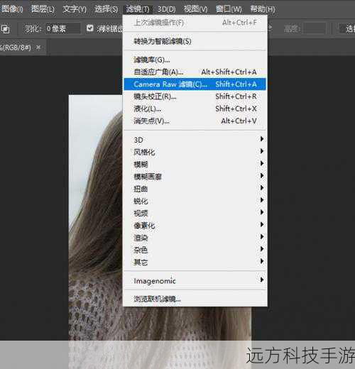在软件主界面中,找到并点击“调整”选项卡,这里包含了多种图像处理功能,包括磨皮功能,选择磨皮功能后,你可以看到一系列参数设置,这些参数将直接影响最终效果。