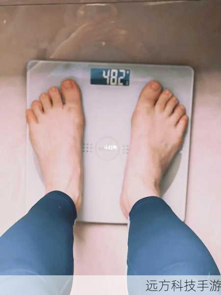 5.保存成果