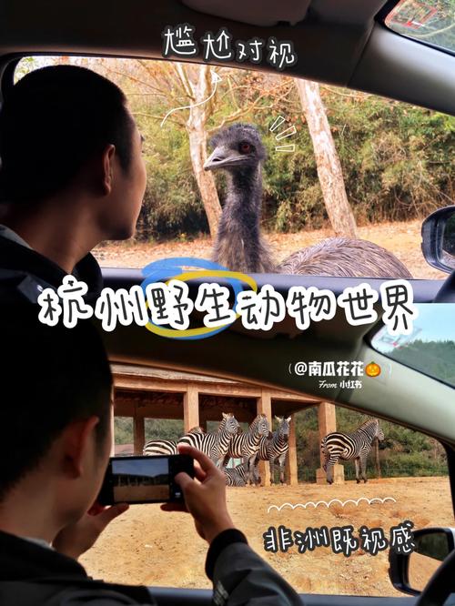 1、无限挑战 20161231 什么时候开始?答:具体开始时间可能因播放平台和地区而异,可关注官方渠道或电视频道预告获取准确时间。
