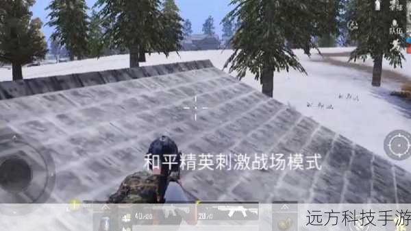 中级阶段：战术与策略