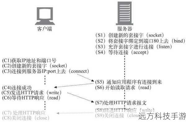 PHP Socket基础概念