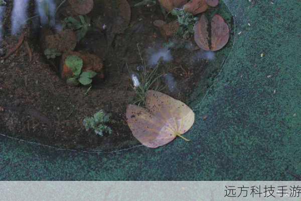 随着日头渐高,剑桥之门下逐渐热闹起来,穿着各色校服的学子们,或骑着自行车穿梭于校园小径,或三两成群地讨论着课题,他们的脸上洋溢着青春的活力与对知识的渴望,这些场景,在纪实摄影师的镜头下,被赋予了更多的情感色彩,每一张照片,都是对青春最美好的诠释,让人不禁回想起自己那段无忧无虑的求学时光。