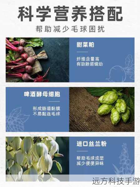 均衡配置,满足日常需求