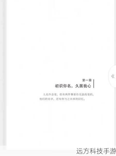第一章:初识雯雅婷