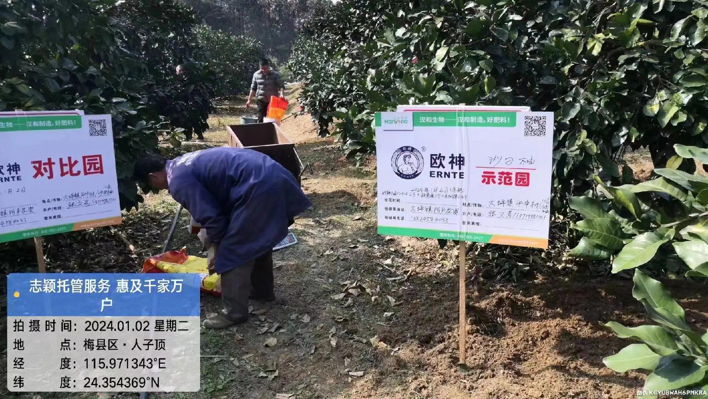 通过以上教程,相信你已经掌握了几十种让照片美到不行的PS技巧,实践是检验真理的唯一标准,将这些技巧应用于实际照片处理中,不断尝试和探索,你将发现自己对PS的掌握越来越深入,创作出的作品也将更加令人赞叹,记得,每一次点击“保存”之前,都请多审视几次,确保每一张照片都能完美呈现你的创意与审美。