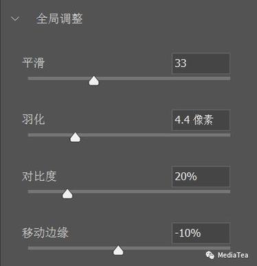 4、调整参数:您可以调整画笔的大小、形状、边缘平滑度等参数,甚至可以导入图像作为画笔纹理,为作品增添独特元素。
