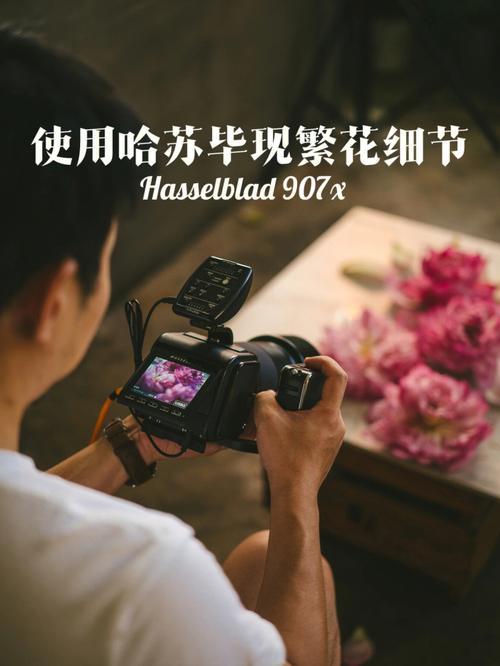 高清画质,细节毕现