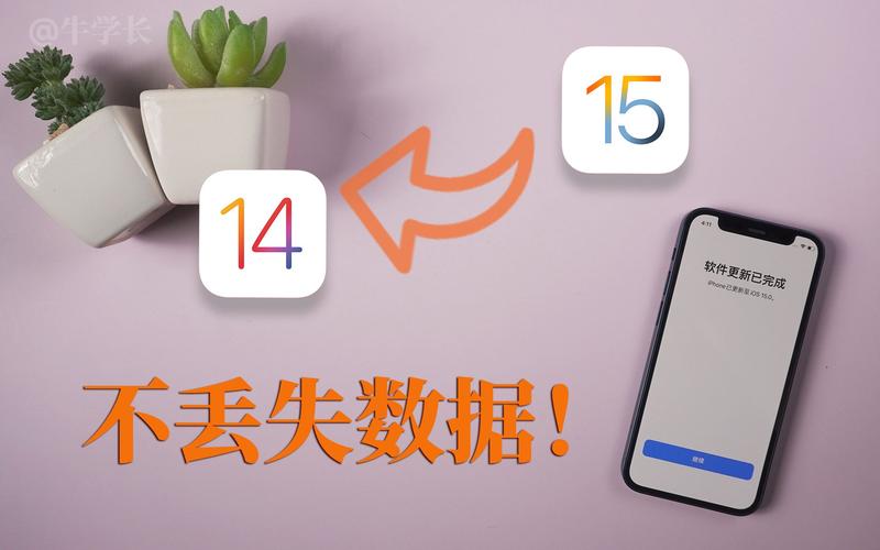 2、降级会导致数据丢失吗?