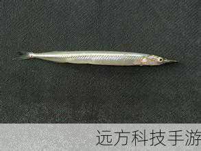 方正R620(485)采用了简约而不失时尚的设计风格,灰黑色的键盘搭配银灰色的掌托,稳重大方,更令人惊喜的是,这款笔记本还具备可换彩壳的设计,用户可以根据自己的喜好更换外壳颜色,让笔记本成为彰显个性的时尚单品,这一设计不仅满足了用户对于美观的追求,也体现了方正品牌对于用户需求的深刻理解。