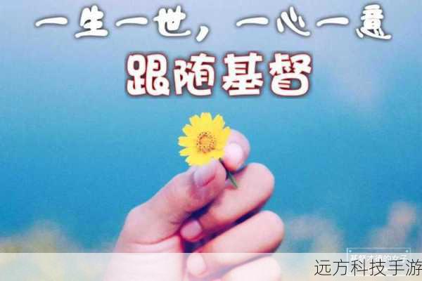 圣灵协同:在实战中,灵活运用圣灵的能力,如冰圣灵的减速效果、火圣灵的灼烧伤害等,增强战场控制和输出。