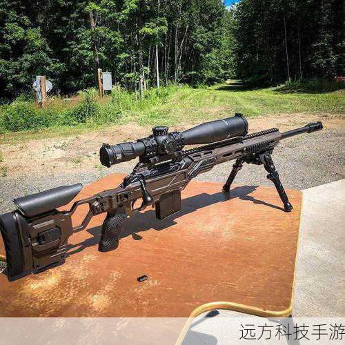 适应性强:无论是喜欢快速切换近战武器的狙击手,还是偏好同时使用两种远程武器的步兵,双枪补丁都能满足不同的游戏风格需求。