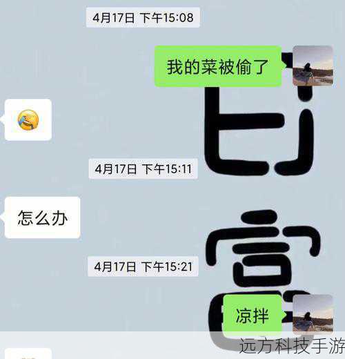 问题3:换购过程中遇到问题,如何寻求帮助?
