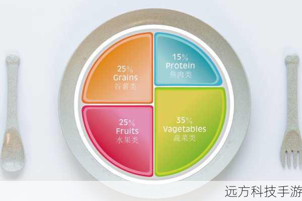 第一套加点：全面均衡型