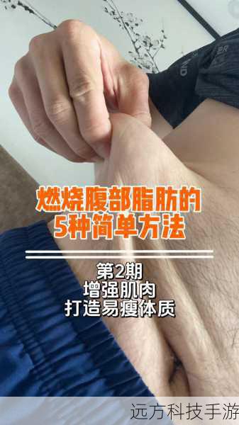 主属性：力量、体质。