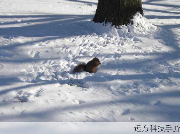 问题二:奥林巴斯U1040适合拍摄哪些类型的照片?