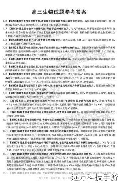 答案汇总