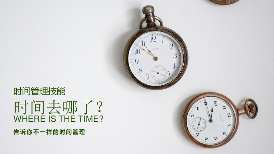 1、时间管理:合理安排时间,利用好每一轮开始时的“准备时间”,提前放置关键植物,为后续战斗奠定基础。