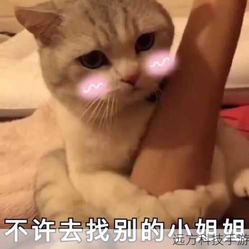 5.使用情侣表情包