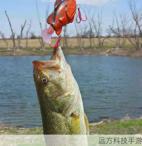 1、装备齐全:确保你的钓鱼工具(如钓竿、鱼饵等)处于最佳状态,对于鳗鱼这样的珍稀鱼类,建议使用中级或更高级别的鱼饵,以提高吸引力。