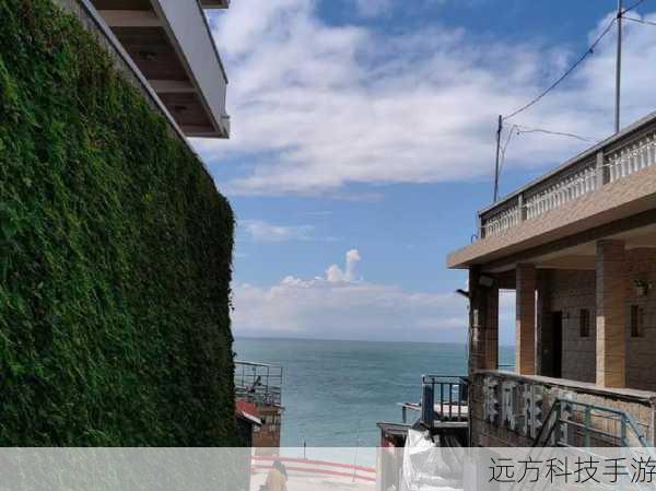 丹凤街老板手机选择大揭秘，术业有专攻，品味与实用并存