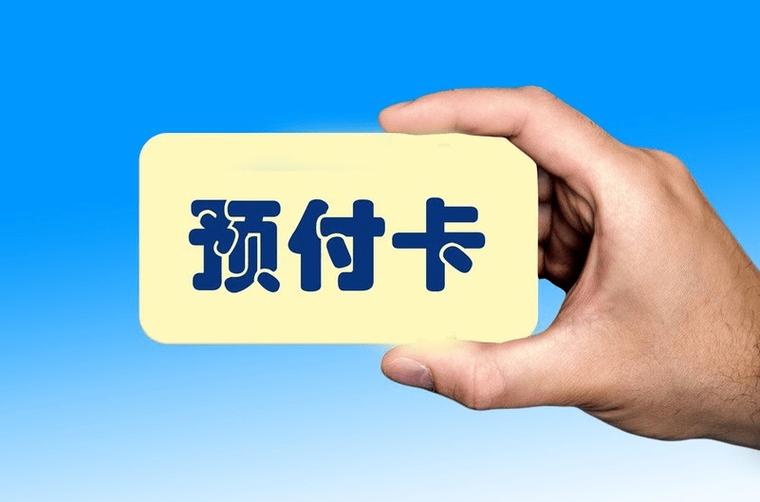 额外服务：提供风险管理、欺诈保护等附加服务。
