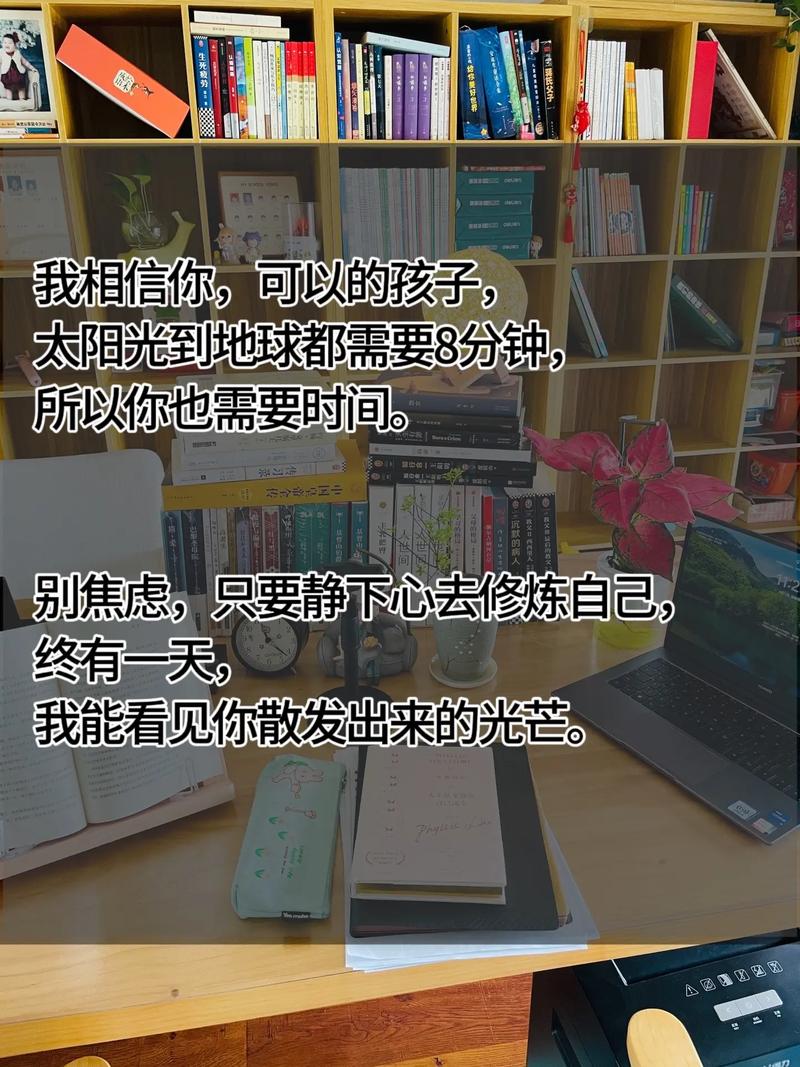 选择建议