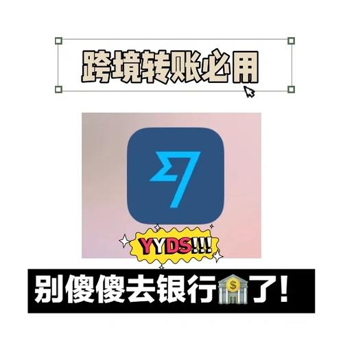 回答：预付卡对于需要频繁跨境交易、尤其是没有银行账户的卖家来说，提供了便捷和安全的支付解决方案，它可能不适合那些寻求低成本、稳定收益的卖家，因为预付卡通常伴随着额外的费用和服务成本，在选择预付卡前，应仔细权衡其成本效益和实际需求。