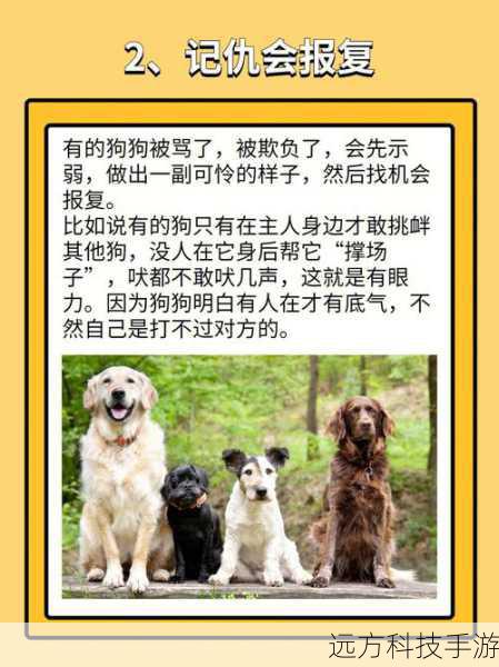 宠物的基本属性主要包括力量、智力、体力、精神、速度、防御等,这些属性直接影响宠物的战斗能力,力量属性高意味着宠物在攻击时能造成更高的物理伤害;智力属性高则能增加魔法攻击的效果,而速度属性则影响宠物的行动速度和闪避率,对于需要快速反应的战斗尤为重要。