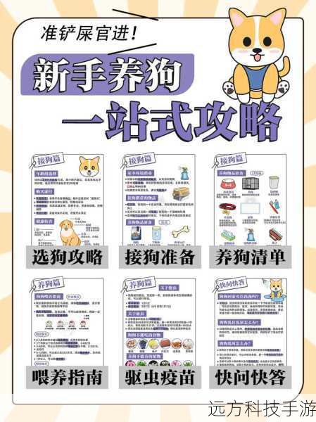 宠物搭配策略