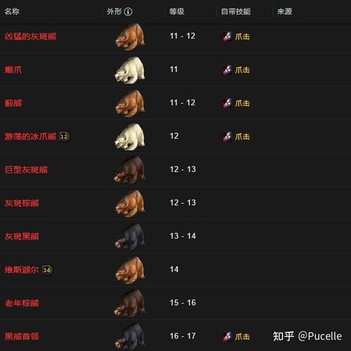 合理分配:合理分配资源,比如优先升级宠物的等级、技能点,同时注意装备的优化。