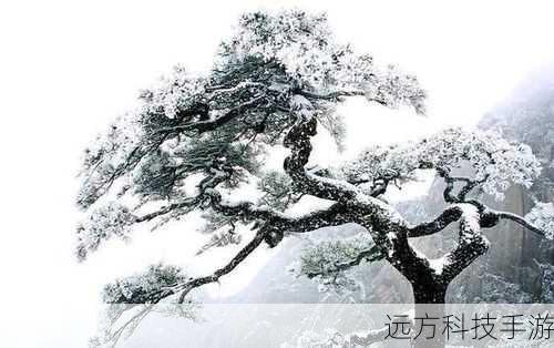 3、龙之傲骨：象征着强大的意志和不屈的精神，适合那些渴望成为领袖的玩家。